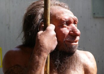 Il Dna del Neanderthal che c’è in noi rivive in provetta