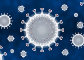 L’indice Rt termometro della convivenza con il nuovo coronavirus