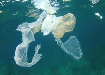 Mare: per gli italiani è a rischio, inquinamento la minaccia più grave  
