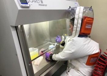 Nanospugne spazzano via il coronavirus fermando l’infezione VIDEO