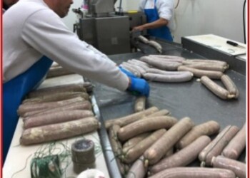 Nasce filiera corta carni selvaggina