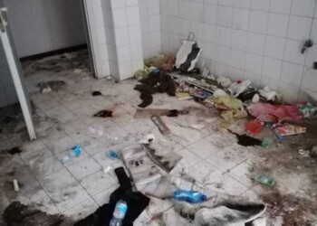 Operazione interforze in edificio in abbandono, 17 denunce
