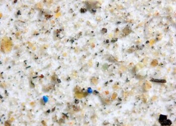 Piove microplastica sui parchi Usa, mille tonnellate l’anno