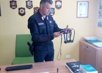 Radiocollari a scarica elettrica,denuncia per maltrattamento