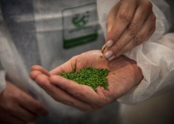 Rifiuti: Ecopneus, raccolte oltre 220mila ton di Pfu nel 2019 