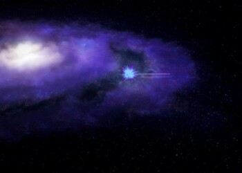 La materia oscura vista attraverso una foresta