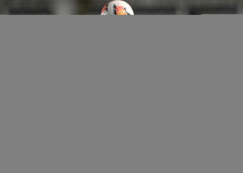 Sampdoria, brasiliano Verissimo può arrivare subito