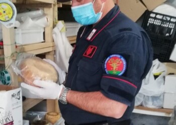 Sequestrato caseificio artigianale abusivo