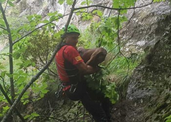 Soccorso alpino salva cani, erano dispersi da una settimana