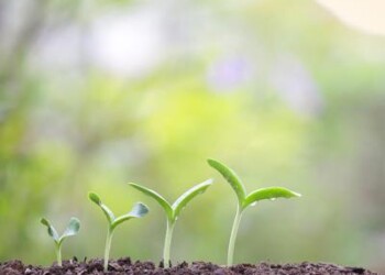 Sostenibilità: 2,3 mln di romani credono in uno stile di via più consapevole 