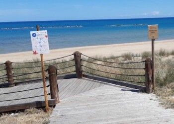 Spiagge libere, Toma ‘in campo azioni importanti’