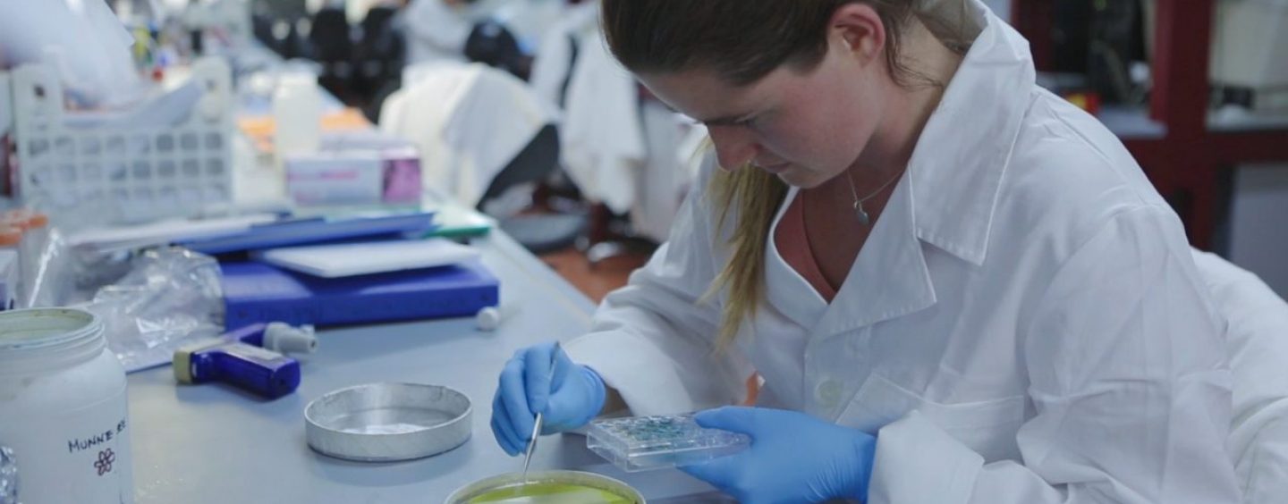 Puglia:Prelievo di solidarietà, sui vitalizi dei consiglieri regionali, finanzieremo ricerca cura malattie rare.