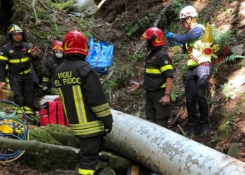 Travolto da un albero, muore boscaiolo