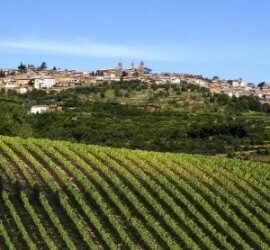 Turismo: Montalcino pronta agli arrivi made in Italy Brunello, brand globale, quest’anno gioca in casa