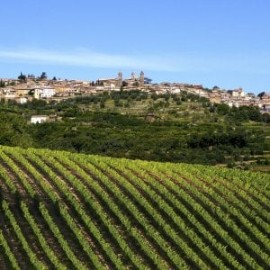 Turismo: Montalcino pronta agli arrivi made in Italy Brunello, brand globale, quest’anno gioca in casa