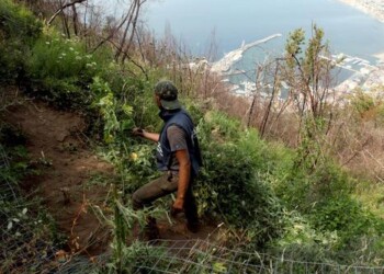 Ucciso come un boss dei narcos, si indaga