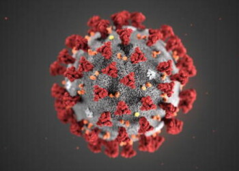 Università di Trento, trovata chiave dell’infezione da virus