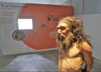 Uomo di Altamura in 3D alle Giornate Ue