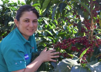 CORONAVIRUS, ACRA: AIUTI AI PICCOLI PRODUTTORI DI CAFFÈ IN HONDURAS