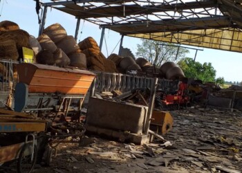 MALTEMPO: COLDIRETTI, DA CLIMA PAZZO 14 MLD DANNI NEI CAMPI