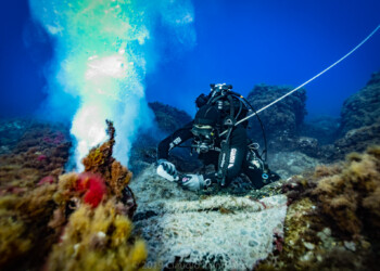 Acque più trasparenti dopo il lockdown