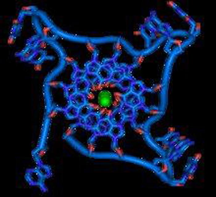 Analisi sangue riconosce 5 tumori 4 anni prima