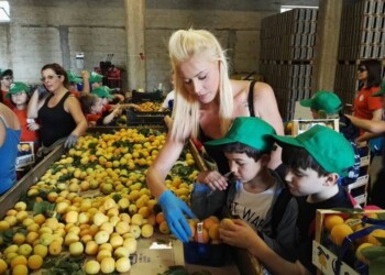 Cia Puglia “Cresce il numero di aziende e addetti nell’agricoltura”