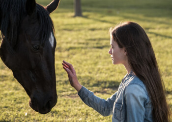 Black Beauty, su piattaforma Disney+ l’adattamento del classico