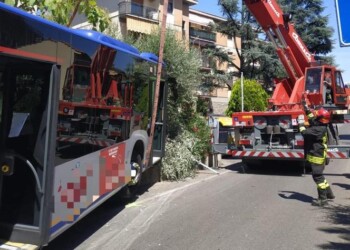 Bus contro auto in sosta a Firenze, probabile malore autista
