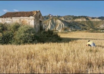 Cinema: fino al 20 luglio “CineCampus – Sud e magia”