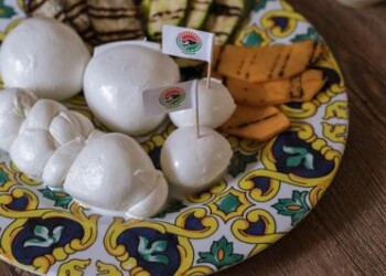 Consorzio tutela mozzarella bufala campana dop, gli errori da evitare 