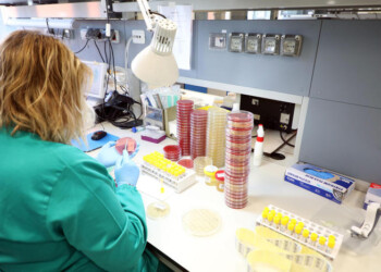 Coronavirus: ancora cinque casi positivi in Valle d’Aosta