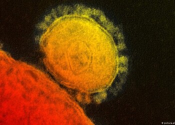 Coronavirus: isolati ‘super anticorpi’, svolta per cure