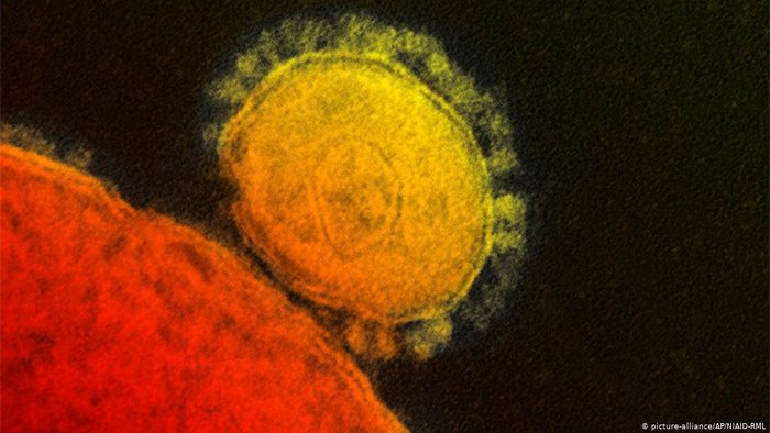 Coronavirus: isolati ‘super anticorpi’, svolta per cure