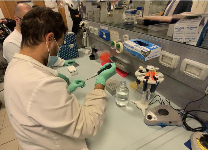 Coronavirus: tre nuovi positivi in Trentino