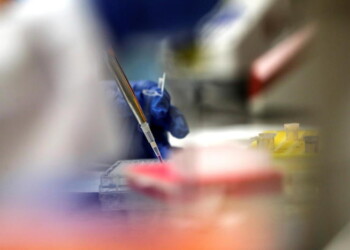 Covid, la corsa al vaccino accelera e cerca nuove vie