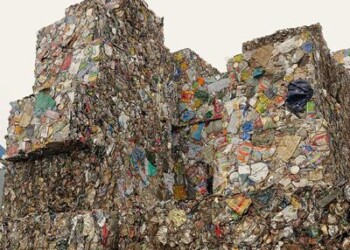 Cresce la raccolta di carta e cartone, traina il Sud 