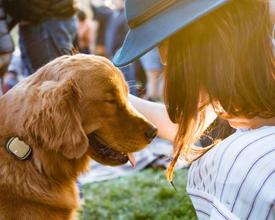 Estate, 10 consigli per proteggere Fido dal caldo