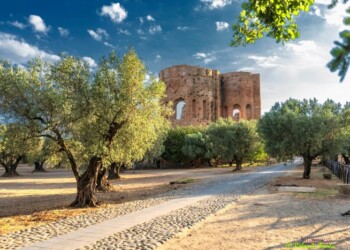 Fase 3: riaprono museo e parco archeologico Scolacium