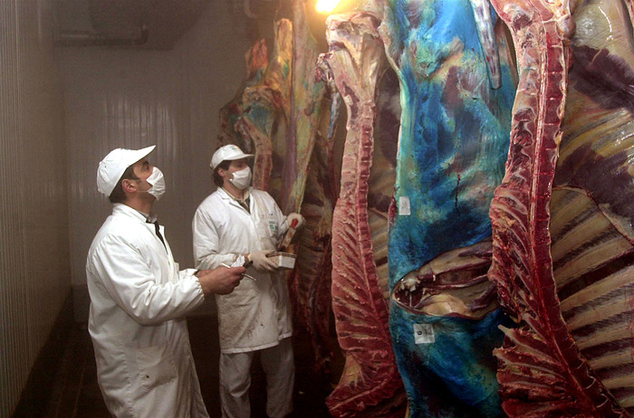 Focolai tra alcuni macelli e salumifici