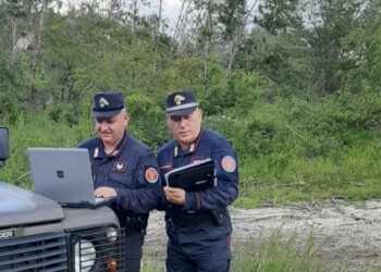 Forestale Sepino sequestra bosco per evitare taglio