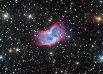 Fotografata una farfalla cosmica