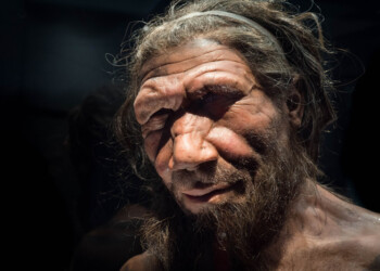 Grotte dei Neanderthal svelano le oscillazioni del Mediterraneo