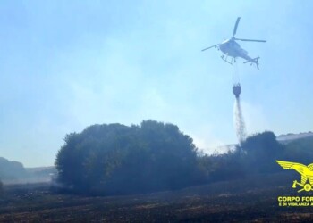 Incendi: 20 roghi scoppiati in Sardegna
