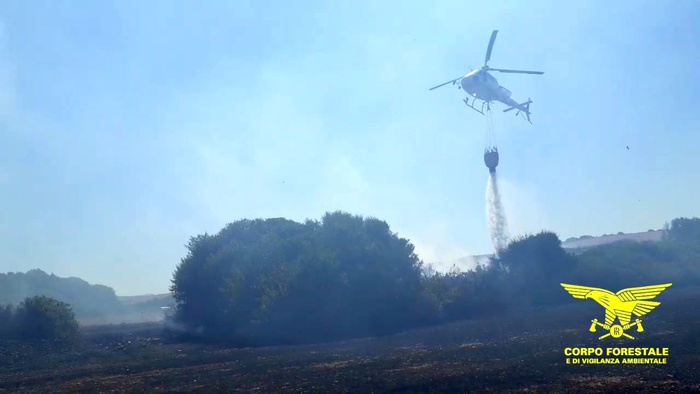 Incendi: 20 roghi scoppiati in Sardegna