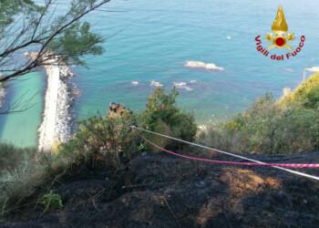 Incendio in scarpata lato mare Parco Cardeto, spento da Vvf