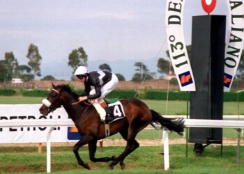 Ippica: il Derby di galoppo pronto a infiammare le Capanelle