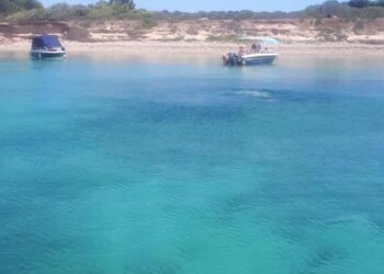 Isola S. Pietro, si prenota con un clic