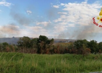 Macchia mediterranea in fumo a Campomarino
