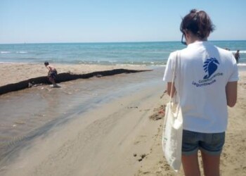 Mare: Legambiente, su coste laziali 14 punti fuori legge su 25 campionati  
